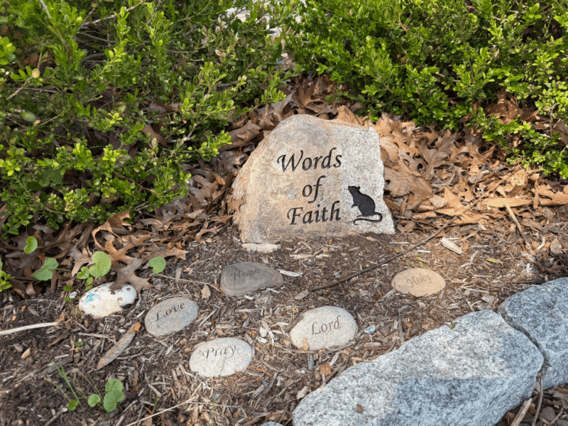 Amos’s Words of Faith